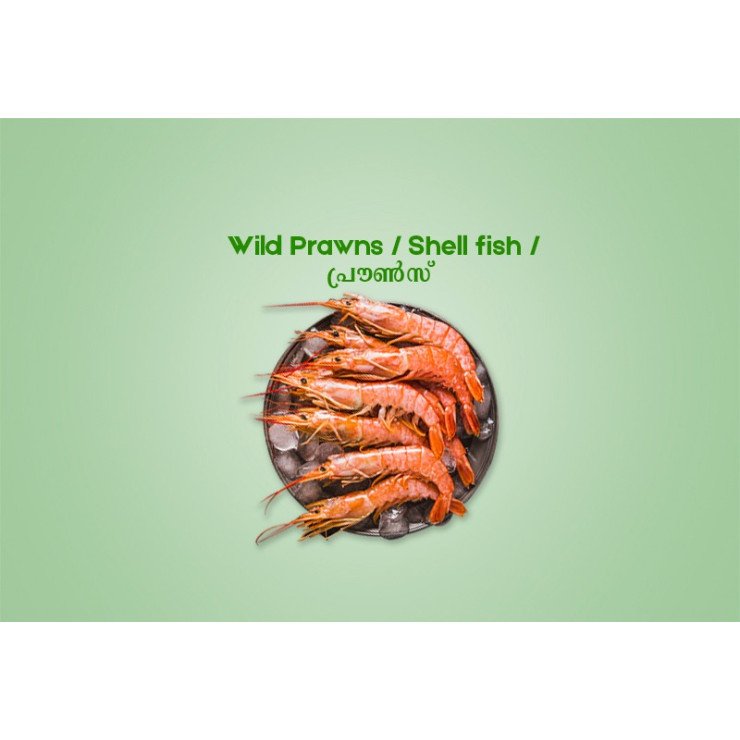 Wild Prawns Big / Shell fish / പ്രൗൺസ് (500gm) - Not Cleaned